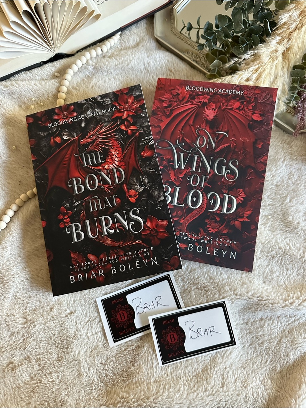 Bloodwing Academy OOP set